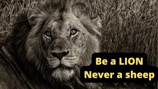 The Lion Attitude (HEART OF A LION) Motivational Video | Be A LION, Never a Sheep | In English