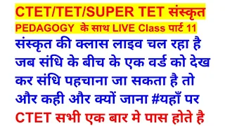 ctet sanskrit live class
