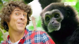 Springing into action! | Andy's Baby Animals | Andy's Amazing Adventures