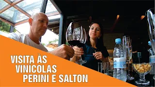 Visita as Vinícolas Perini e Salton