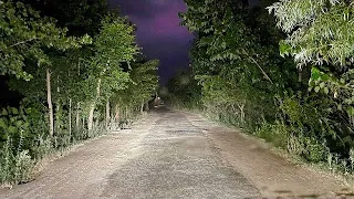 Scary Drive through the Notorious Haunted Forest at Night in Heavy Rain
