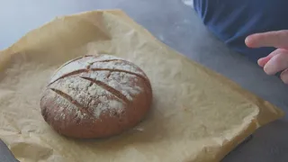 Un pain de seigle sur  poolish 🍞🍞🍞