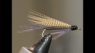 Vintage Fly Tying - Quill Gordon Wet Fly