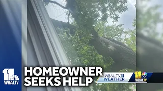 Resident says fallen tree left to sit on home all weekend