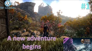 Shard of Faith DLC for Dark and Light 01 New Adventure new land