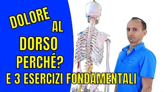 Dolore alla Schiena Alta (dorsale): la Causa e 3 Esercizi di Riabilitazione