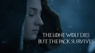 House Stark - The lone wolf dies but the pack survives