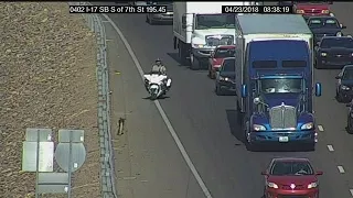 GRAPHIC VIDEO: Dog runs off I-17 after being hit by car