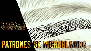 Patrones de Microblading - Academia Dimech´s - Raymond Méndez