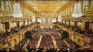 Vienna Philharmonic-2021 Vienna New Year's Christmas Concert｜Weihnachtskonzert aus Stephansdom