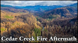 Exploring the Cedar Creek Fire Aftermath