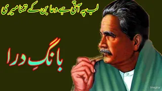 لب پہ آتی ہے دعا بن کے تمنا میری|بچے کی دعا|علامہ اقبال شاعری|Allamaiqbal |Umeed-e-Bahar Rakh