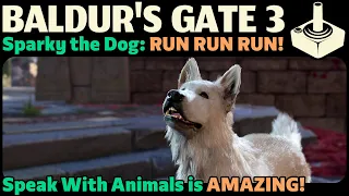 Sparky the Dog - RUN RUN RUN! Speak With Animals【Baldur's Gate 3】