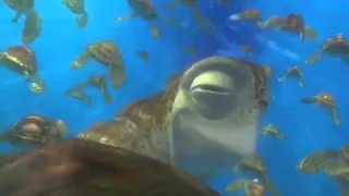 Finding Nemo "Exit Buddy" Clip