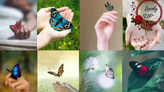 New hand dp pic|Girls hands dpz|girl hand butterfly dp for whatsapp|butterfly|butterfly hand dp#dpz