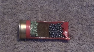 How a Shotgun Cartridge works