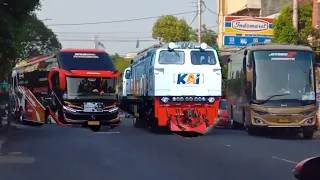 Wow ‼️ Ada Kereta moster Maju mundur tiga gerbong dan dua bus keren berubah