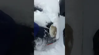 SATISFYING SNOW FALLING OFF OF CARS 🌨☃️❄️