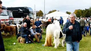 The Ballinsloe Horse Fair 2022