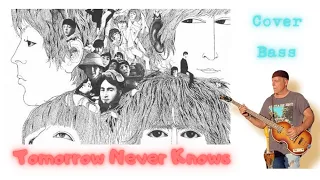 the beatles - Tomorrow Never Knows bass #beatles  #revolver  #beatlescover  #bass #hofner