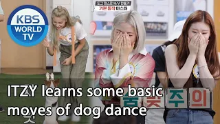 ITZY learns some basic moves of dog dance (Dogs are incredible) | KBS WORLD TV 200909