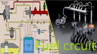 Engine diesel (part2) the fuel circuit