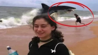 Top 10 Shark Attacks You Won't Believe