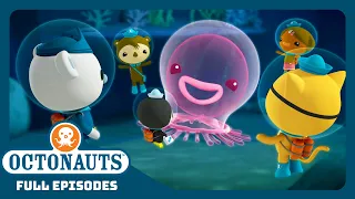 @Octonauts - 🎐The Giant Jelly 🐧  | Season 1 | Full Episodes | Cartoons for Kids