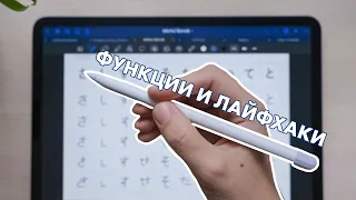 Что умеет Apple Pencil и как с ним работать?