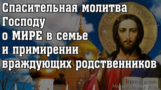 Спасительная молитва Господу о МИРЕ в семье и примирении враждующих родственников