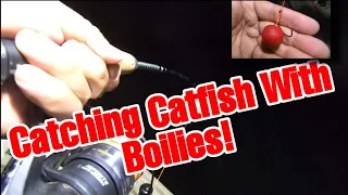 Catfishing Using Homemade Boilies : Catching Channel Catfish With Boilies