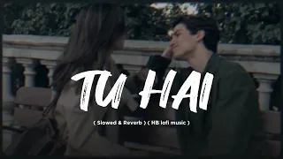 TU HAI - Darshan Raval ( Slowed & Reverb ) HB lofi music