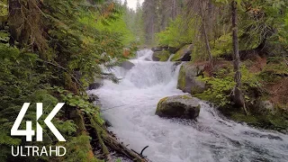 8 HOURS White Noise - Relaxing Sound of the Mountain River for Sleeping - Episode #1