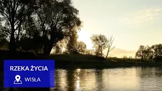 Wisła -  rzeka życia