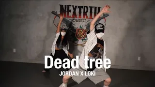 Nafla - Dead tree / JORDAN X LOKI [Girlshiphop]