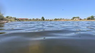 Съездил на водоем. Появилась ли Артемия.