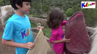 APRENDEMOS 🐎 CABALLOS 🐴 Poni Club Catalunya Actividades Fin Semana Familia Centro Equitación