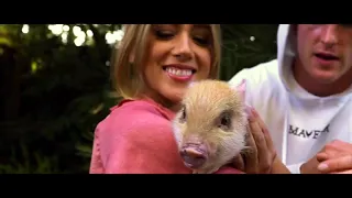 Logan Paul! MINI PIG MEETS MINI DOG FOR THE FIRST TIME!