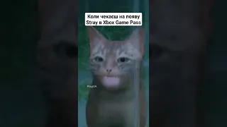 Stray ГАВ #stray #xbox #gamepass #ігри #ігриукраїнською #playstation