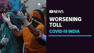 True number of COVID cases and deaths in India likely far greater than official figures | ABC News