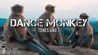 Tones And I - Dance Monkey ( Cover ) Cheryll Putih abu abu Lirik