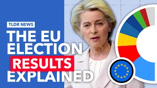 The EU Parliament Election Results Explained