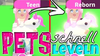 So LEVELST du deine PETS DOPPELT so schnell 😱✅ Roblox Adopt Me! [DEUTSCH]