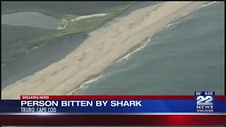 Man suffering puncture wounds after apparent shark bite off Cape Cod