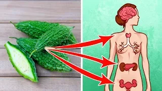 6 Amazing Things Bitter Gourd Can Do To Your Body