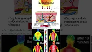 Thảm đá nóng Carefit có Hồng ngoại xa không, tia hồng ngoại xa có tác dụng gì?