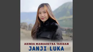 JANJI LUKA