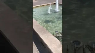 Чудесный фонтан на набережной Казани