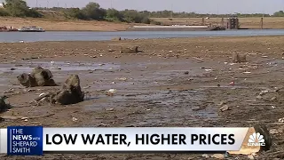 Mississippi River drought takes its toll on the economy