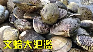 【猛貨合集】小漁去海邊淘沙白，連女兒也上陣，一家人收穫滿滿好幾桶！【漁小仙】